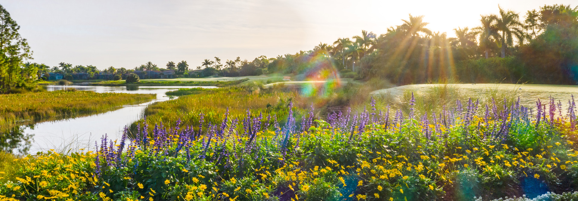 Olde Cypress community video